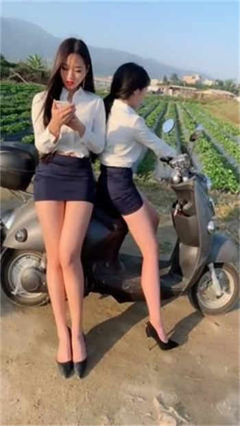 葵花宝典功法内容