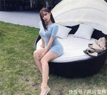 红红的枫叶还有什么的枫叶