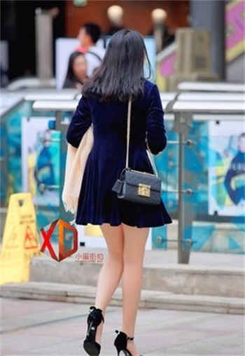 龙王殿都市豪婿青帝著