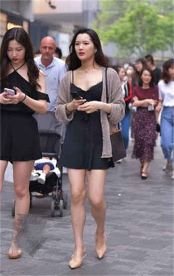 软耳奶猫乐多社会