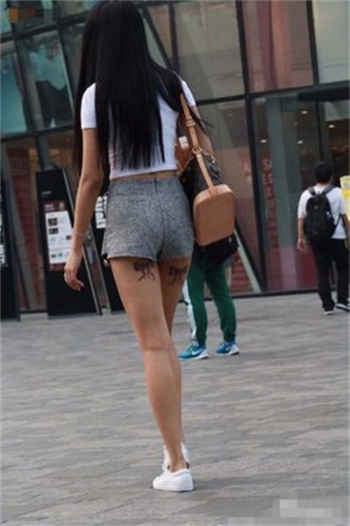 卧槽了个dj前传在线