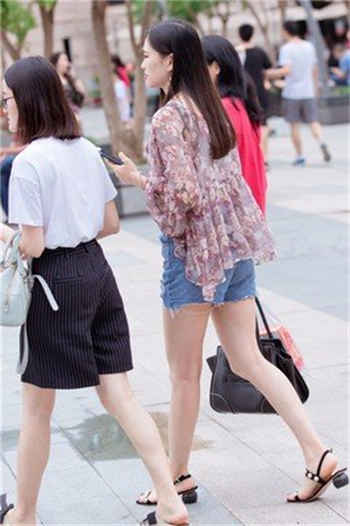 与猪有关的成语