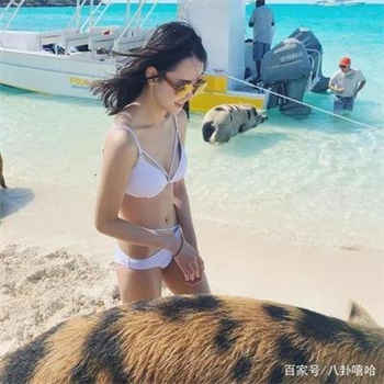 我给初恋养儿子txt下载