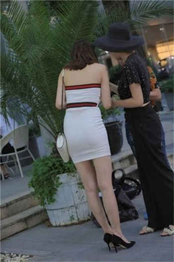 年轻的部长夫人