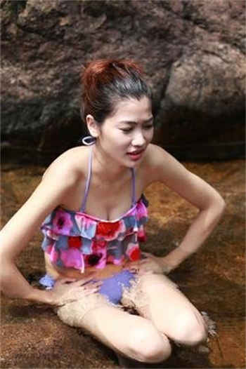 海棠网页版