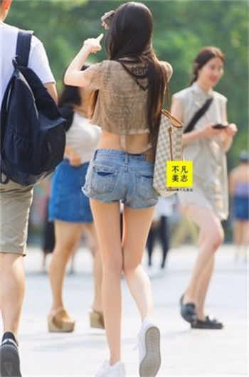 3339atv青橙