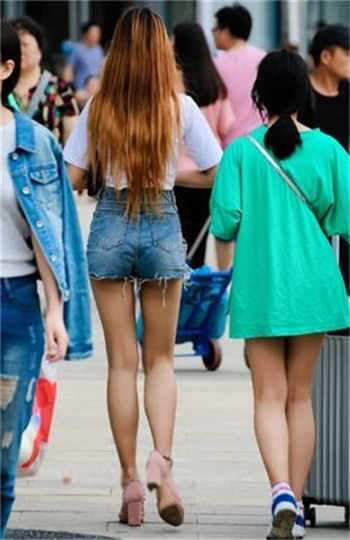 陆律师的小娇妻应念陆景让