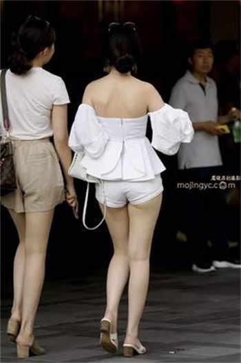 李芷珊全阅读